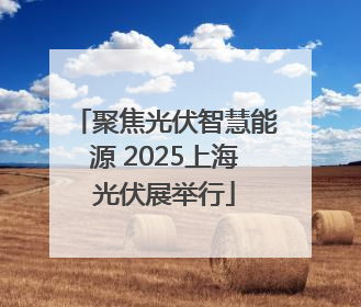 聚焦光伏智慧能源 2025上海光伏展举行