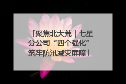 聚焦北大荒｜七星分公司“四个强化”筑牢防汛减灾屏障