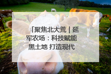聚焦北大荒｜延军农场：科技赋能黑土地 打造现代农业“智慧芯”