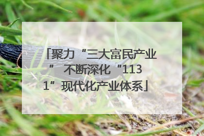 聚力“三大富民产业” 不断深化“1131”现代化产业体系