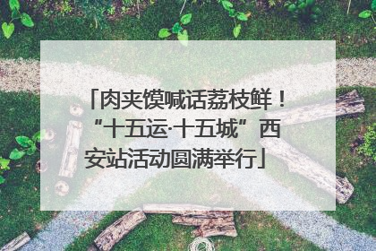肉夹馍喊话荔枝鲜！“十五运·十五城”西安站活动圆满举行