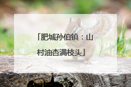 肥城孙伯镇：山村油杏满枝头