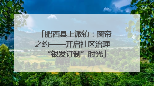肥西县上派镇：窗帘之约——开启社区治理“银发订制”时光