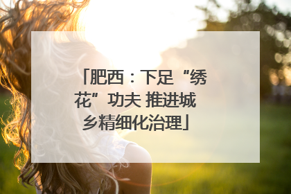肥西：下足“绣花”功夫 推进城乡精细化治理