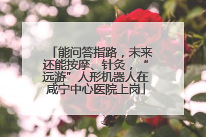 能问答指路，未来还能按摩、针灸，“远游”人形机器人在咸宁中心医院上岗
