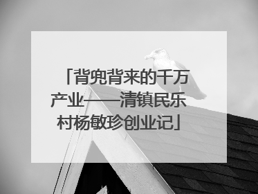 背兜背来的千万产业——清镇民乐村杨敏珍创业记