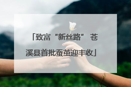 致富“新丝路” 苍溪县首批蚕茧迎丰收