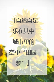 自给自足 乐在其中 城市里的空中“田园梦”