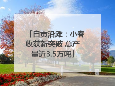 自贡沿滩：小春收获新突破 总产量近3.5万吨