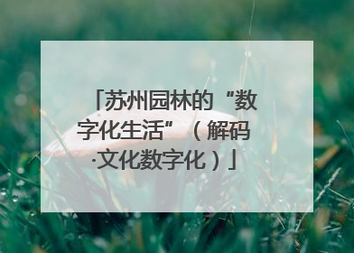 苏州园林的“数字化生活”（解码·文化数字化）