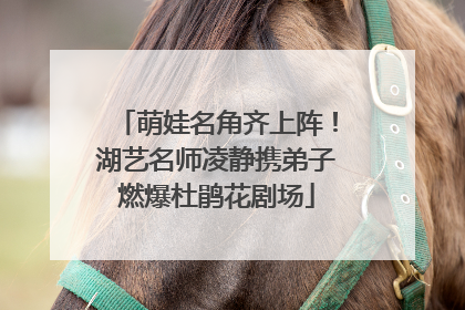 萌娃名角齐上阵！湖艺名师凌静携弟子燃爆杜鹃花剧场