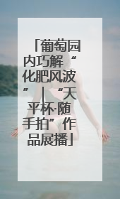 葡萄园内巧解“化肥风波”｜“天平杯·随手拍”作品展播
