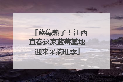 蓝莓熟了！江西宜春这家蓝莓基地迎来采摘旺季