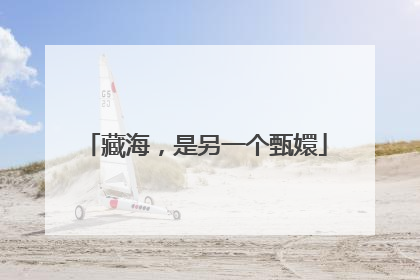 藏海，是另一个甄嬛