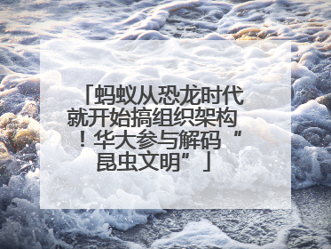 蚂蚁从恐龙时代就开始搞组织架构！华大参与解码“昆虫文明”