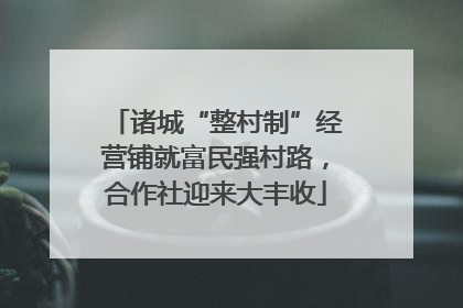 诸城“整村制”经营铺就富民强村路，合作社迎来大丰收