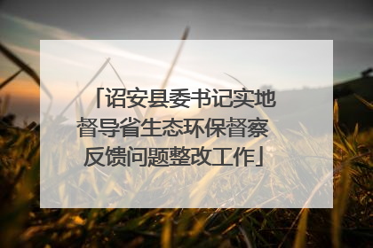 诏安县委书记实地督导省生态环保督察反馈问题整改工作