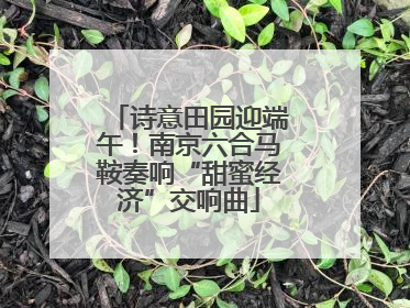 诗意田园迎端午！南京六合马鞍奏响“甜蜜经济”交响曲
