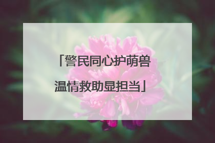 警民同心护萌兽 温情救助显担当
