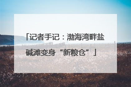 记者手记：渤海湾畔盐碱滩变身“新粮仓”