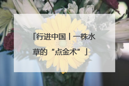 行进中国丨一株水草的“点金术”
