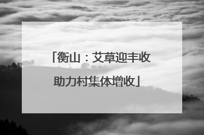衡山：艾草迎丰收 助力村集体增收