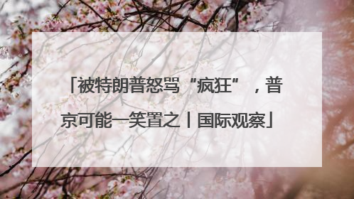 被特朗普怒骂“疯狂”，普京可能一笑置之丨国际观察