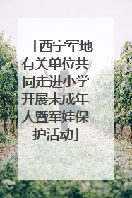 西宁军地有关单位共同走进小学开展未成年人暨军娃保护活动