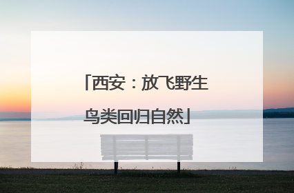 西安：放飞野生鸟类回归自然
