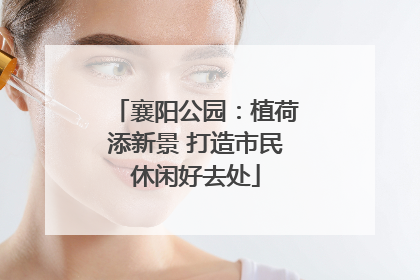 襄阳公园：植荷添新景 打造市民休闲好去处