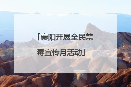 襄阳开展全民禁毒宣传月活动