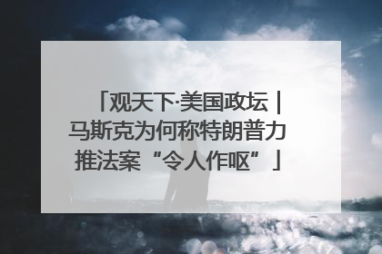 观天下·美国政坛｜马斯克为何称特朗普力推法案“令人作呕”