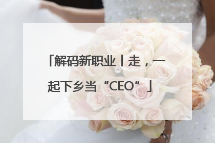 解码新职业丨走，一起下乡当“CEO”