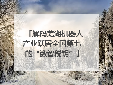 解码芜湖机器人产业跃居全国第七的“数智税钥”