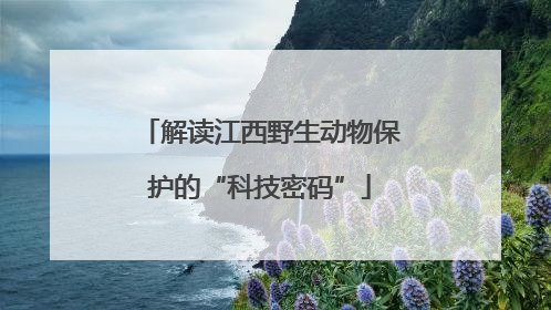解读江西野生动物保护的“科技密码”