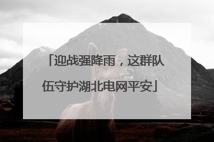 迎战强降雨，这群队伍守护湖北电网平安