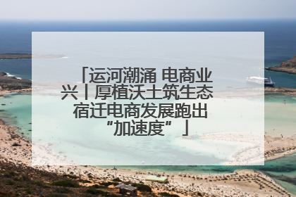 运河潮涌 电商业兴丨厚植沃土筑生态 宿迁电商发展跑出“加速度”