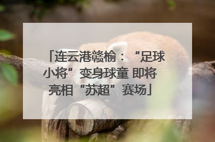 连云港赣榆：“足球小将”变身球童 即将亮相“苏超”赛场
