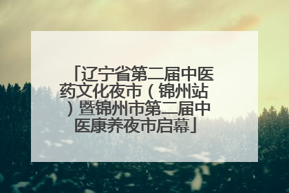 辽宁省第二届中医药文化夜市（锦州站）暨锦州市第二届中医康养夜市启幕