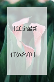 辽宁最新任免名单