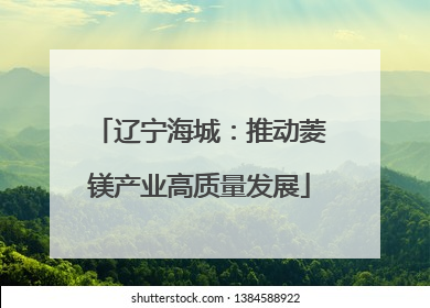 辽宁海城：推动菱镁产业高质量发展