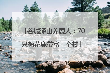 谷城深山养鹿人：70只梅花鹿带富一个村