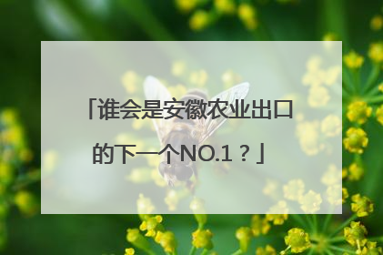 谁会是安徽农业出口的下一个NO.1？