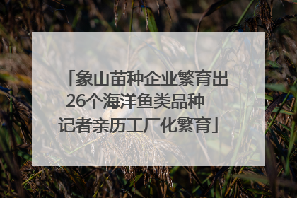 象山苗种企业繁育出26个海洋鱼类品种 记者亲历工厂化繁育