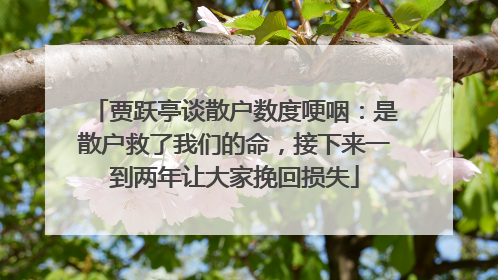 贾跃亭谈散户数度哽咽：是散户救了我们的命，接下来一到两年让大家挽回损失