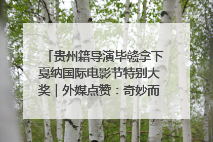 贵州籍导演毕赣拿下戛纳国际电影节特别大奖｜外媒点赞：奇妙而广阔的纯粹电影梦