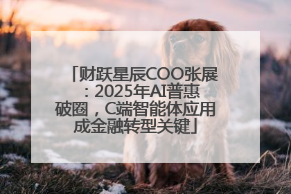 财跃星辰COO张展：2025年AI普惠破圈，C端智能体应用成金融转型关键