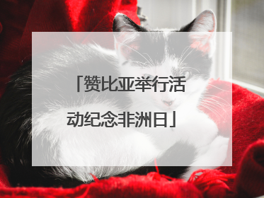 赞比亚举行活动纪念非洲日