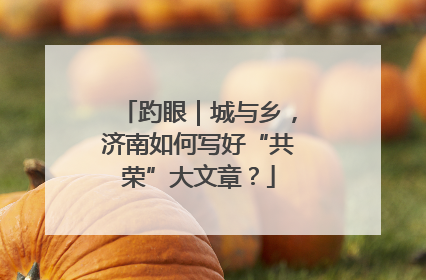 趵眼｜城与乡，济南如何写好“共荣”大文章？