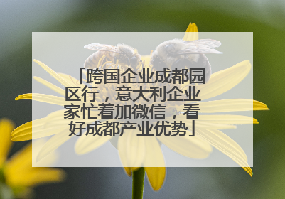 跨国企业成都园区行，意大利企业家忙着加微信，看好成都产业优势